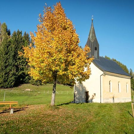 Hauserhof Am Goldberg Dellach  Luaran gambar