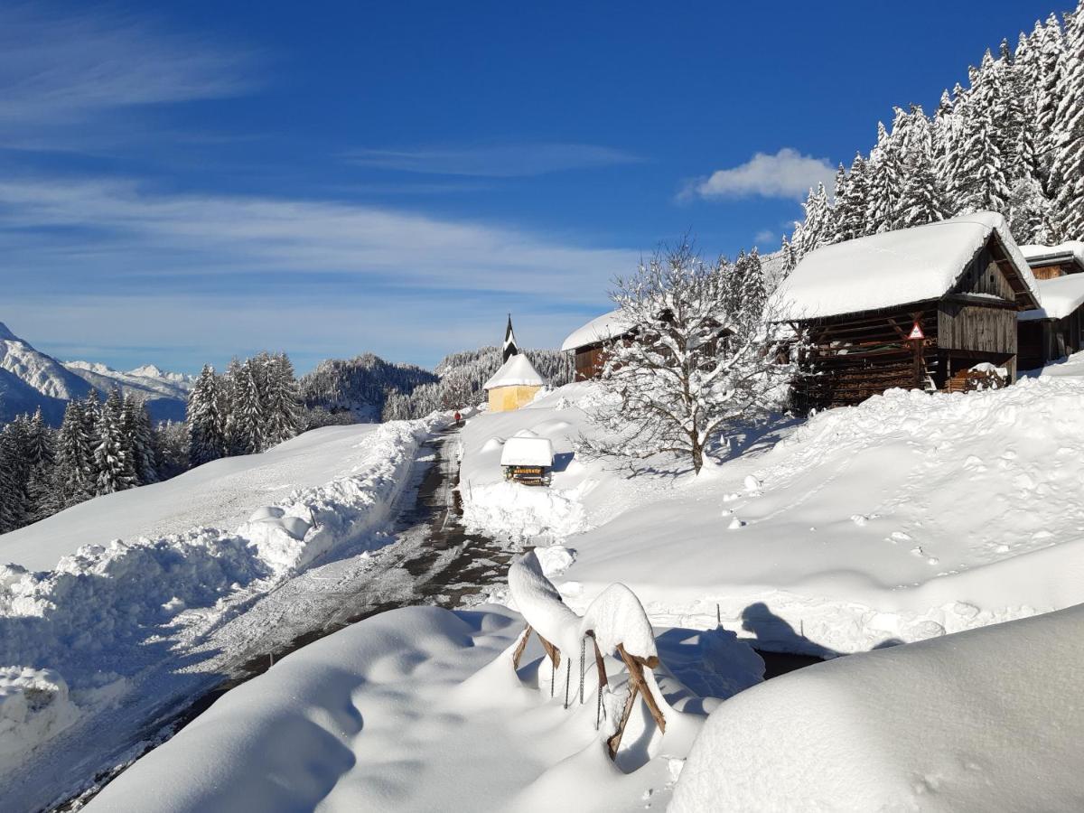 Hauserhof Am Goldberg Dellach  Luaran gambar