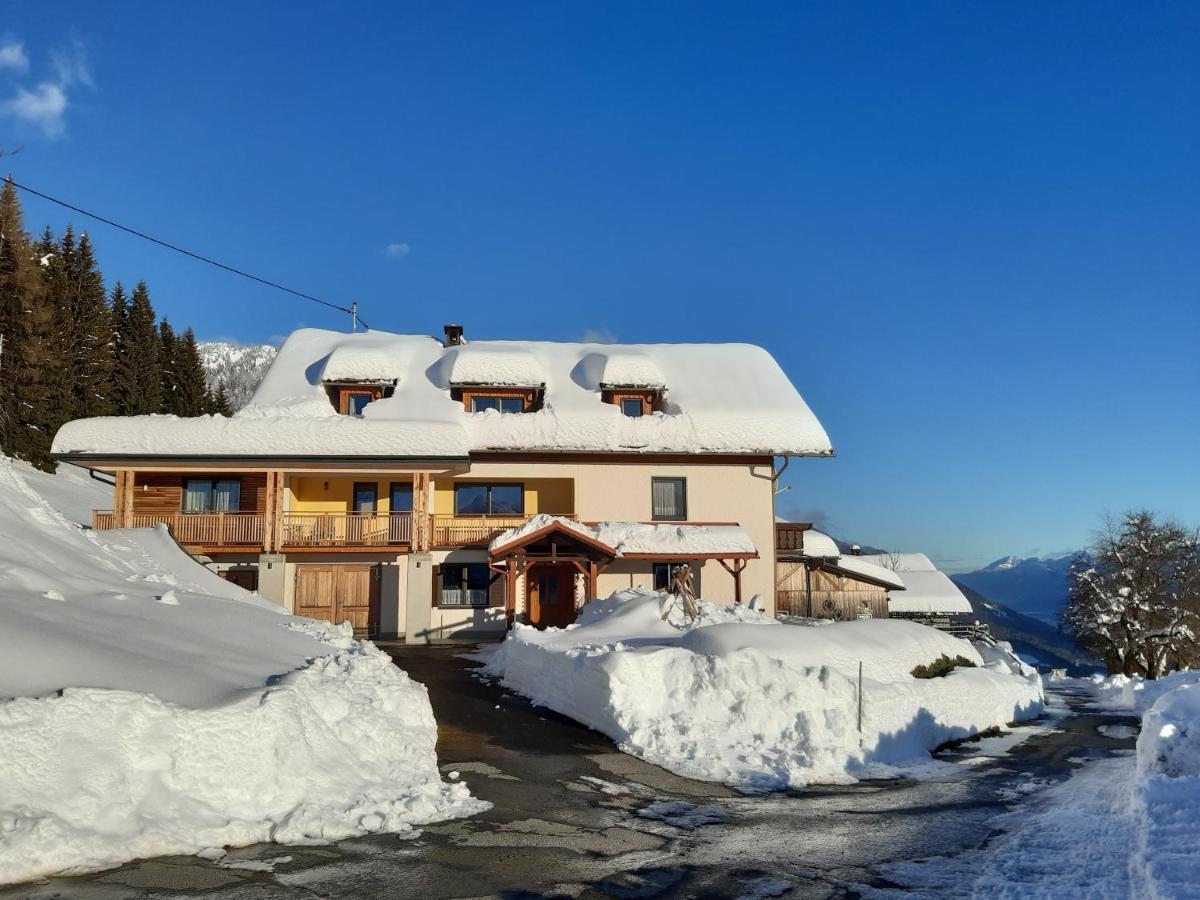 Hauserhof Am Goldberg Dellach  Luaran gambar