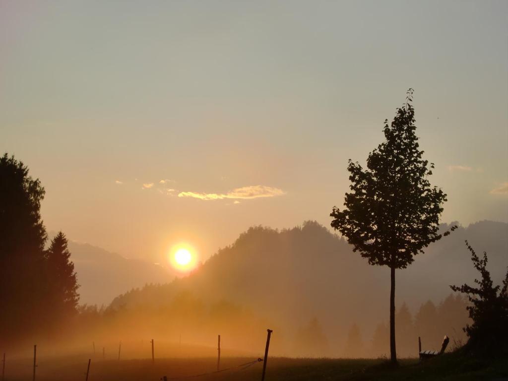 Hauserhof Am Goldberg Dellach  Luaran gambar