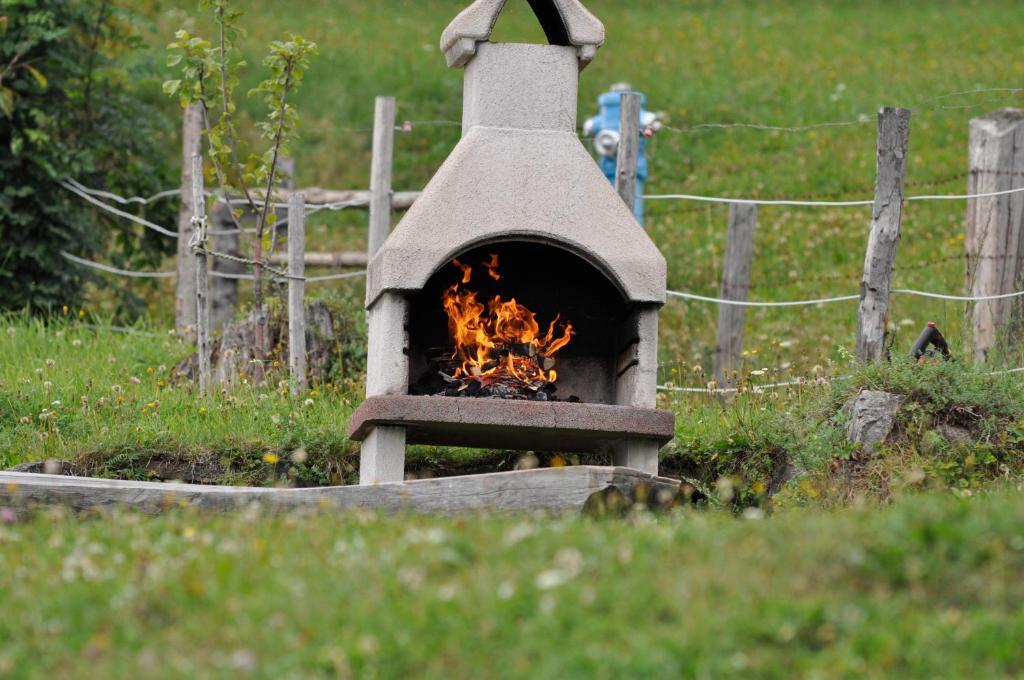 Hauserhof Am Goldberg Dellach  Luaran gambar