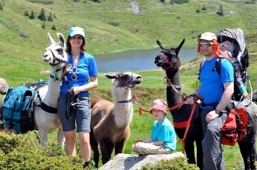 Hauserhof Am Goldberg Dellach  Luaran gambar